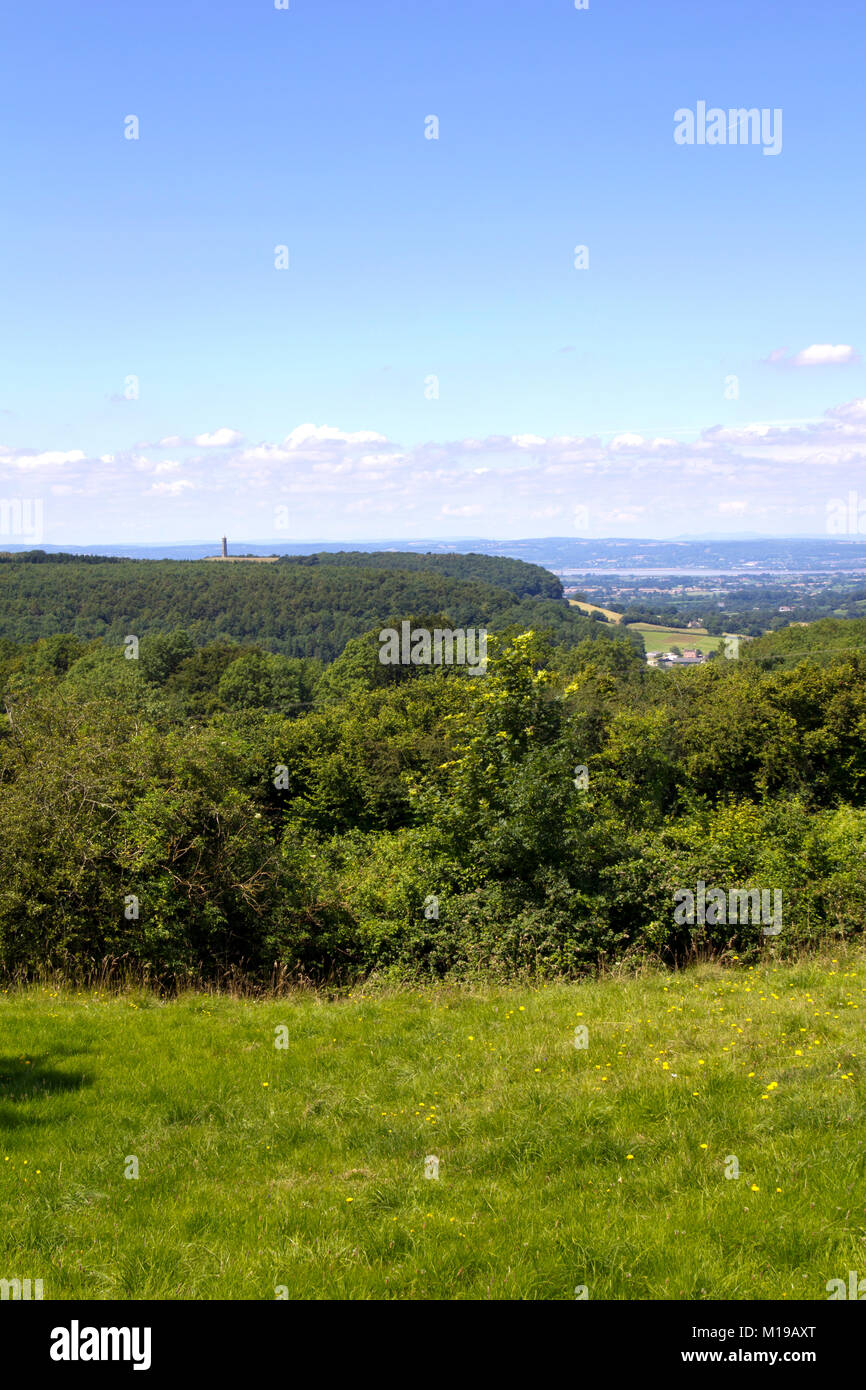 Vista verso il monumento Tynedale sul bordo del Cotswold Hills scarpata vicino a Wotton Under Edge, Gloucesteshire, UK. Foto Stock