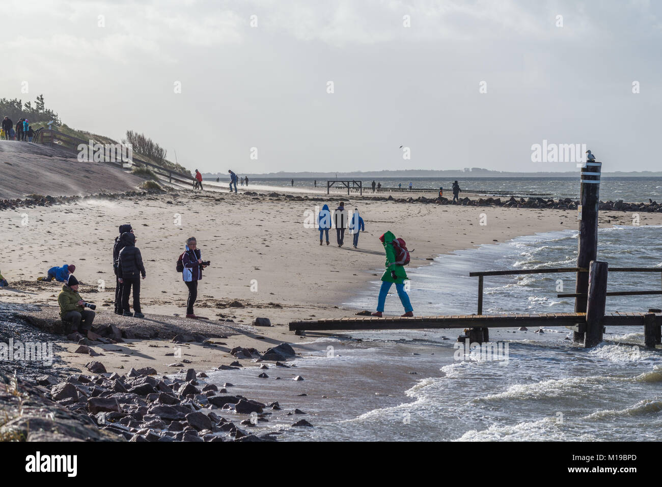 La spiaggia e il mare a Utersum sull isola di Foehr, Mare del Nord, Patrimonio naturale UNESCO, Mare del Nord, Schleswig-Holstein, Germania, Europa Foto Stock