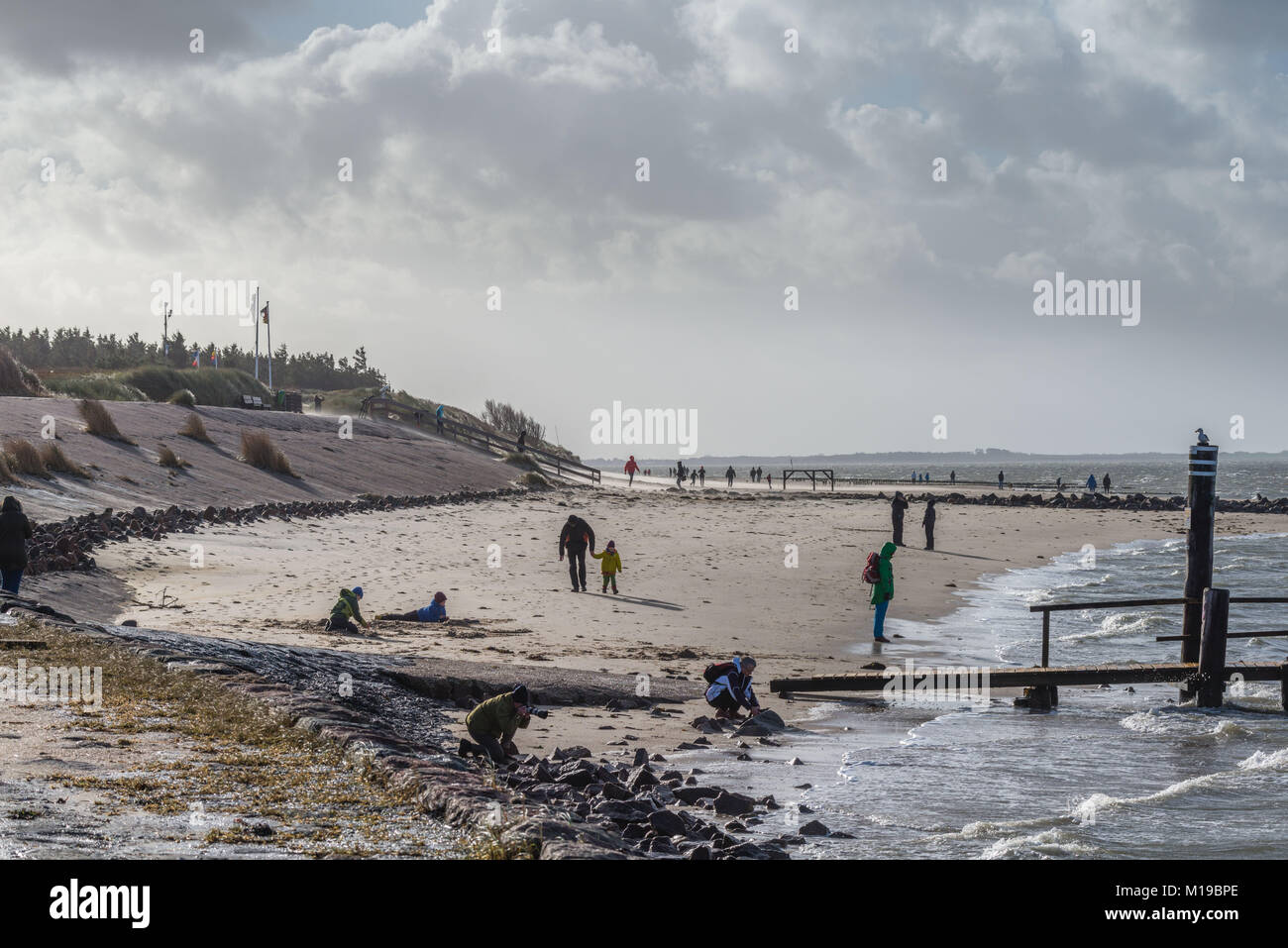 La spiaggia e il mare a Utersum sull isola di Foehr, Mare del Nord, Patrimonio naturale UNESCO, Mare del Nord, Schleswig-Holstein, Germania, Europa Foto Stock
