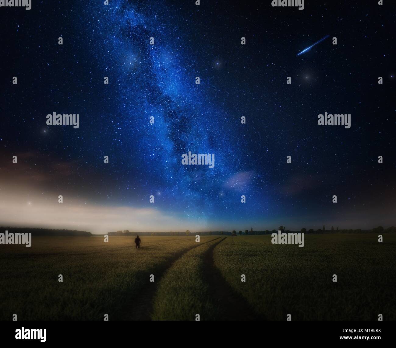 Paesaggio notturno con silhouette uomo giovane sul campo di grano in tarda primavera. Foto Stock