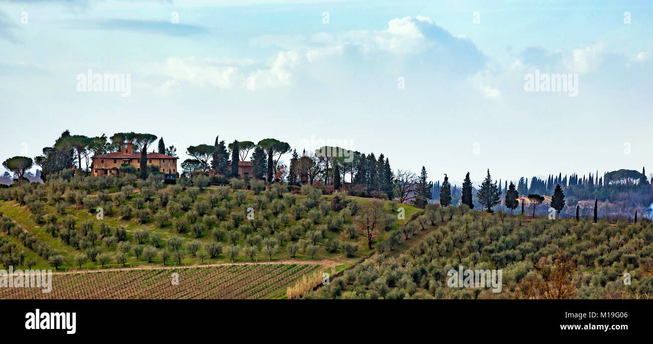 Il paesaggio toscano e strada di campagna con cipressi, alberi e palazzi antichi. Regione Toscana in Italia. Foto Stock