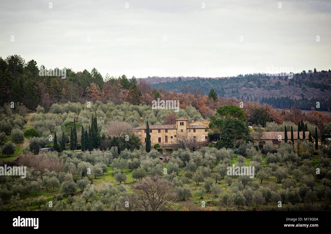 Il paesaggio toscano e strada di campagna con cipressi, alberi e palazzi antichi. Regione Toscana in Italia. Foto Stock