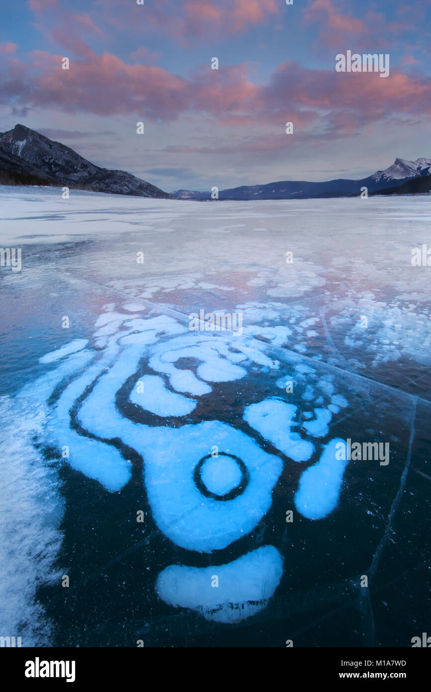Congelati bolle di metano, inverno, Abramo Lago, Canadian Rockies, Alberta, Canada Foto Stock