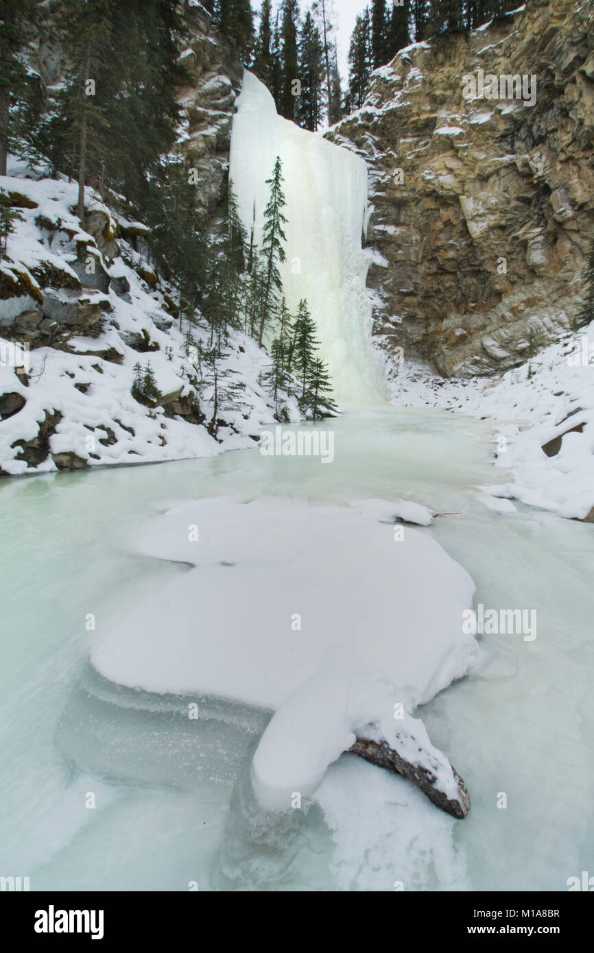 Cascate gelate, Abramo la zona del lago e delle Montagne Rocciose Canadesi Foto Stock