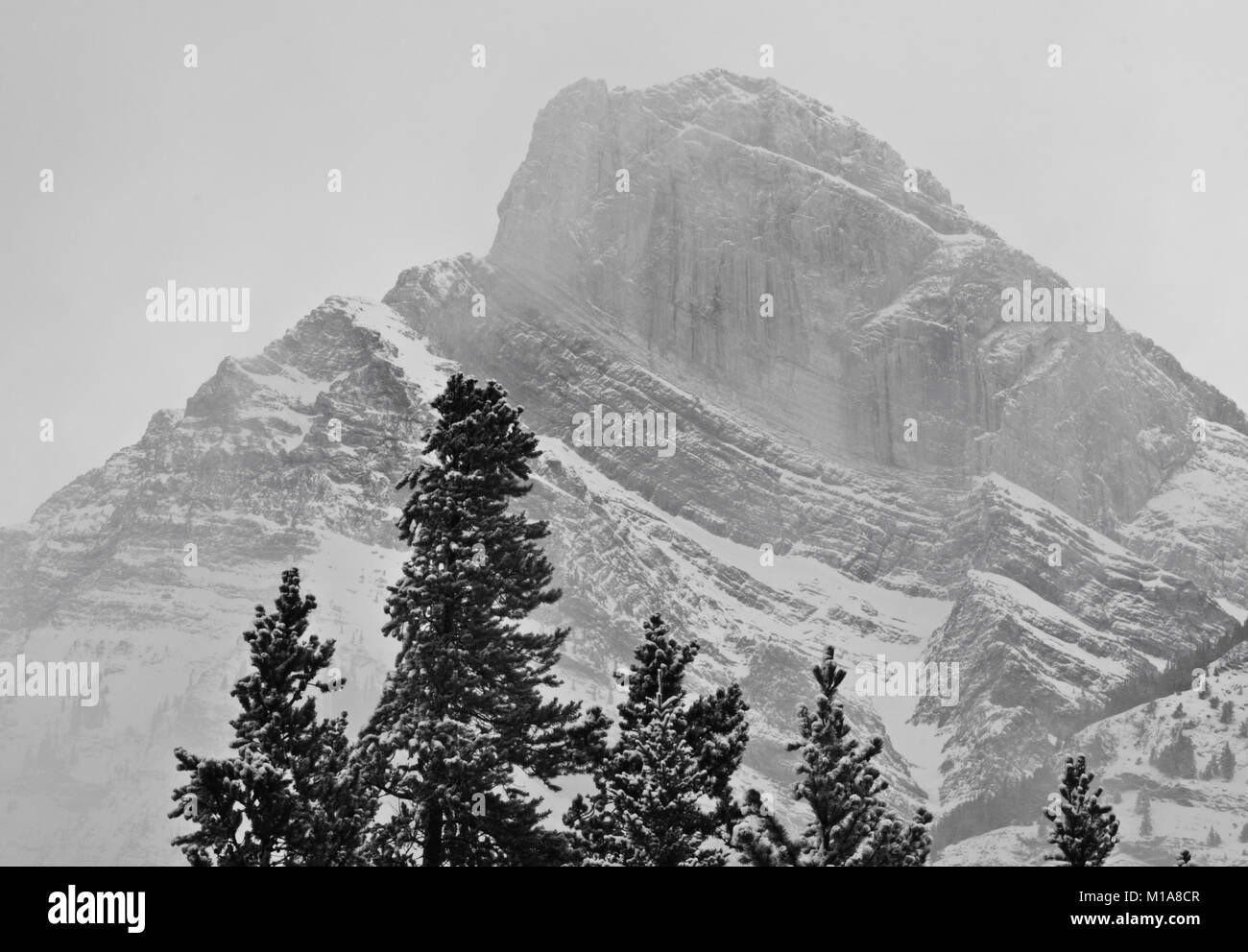 Giorno nevoso su Mt. Wilson, il Parco Nazionale di Banff: bianco e nero Foto Stock