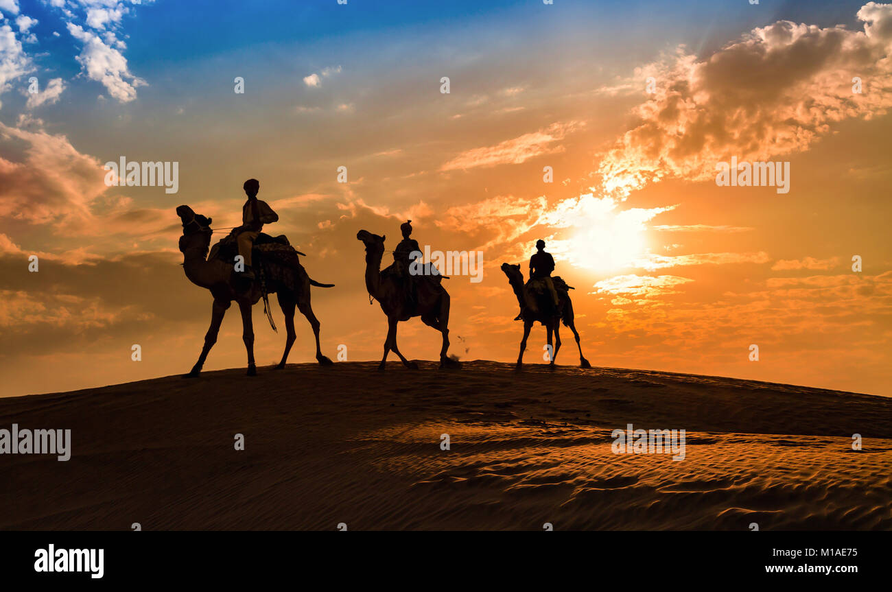 Camel caravan in silhouette al tramonto nel deserto di Thar Jaisalmer, Rajasthan, India. Foto Stock