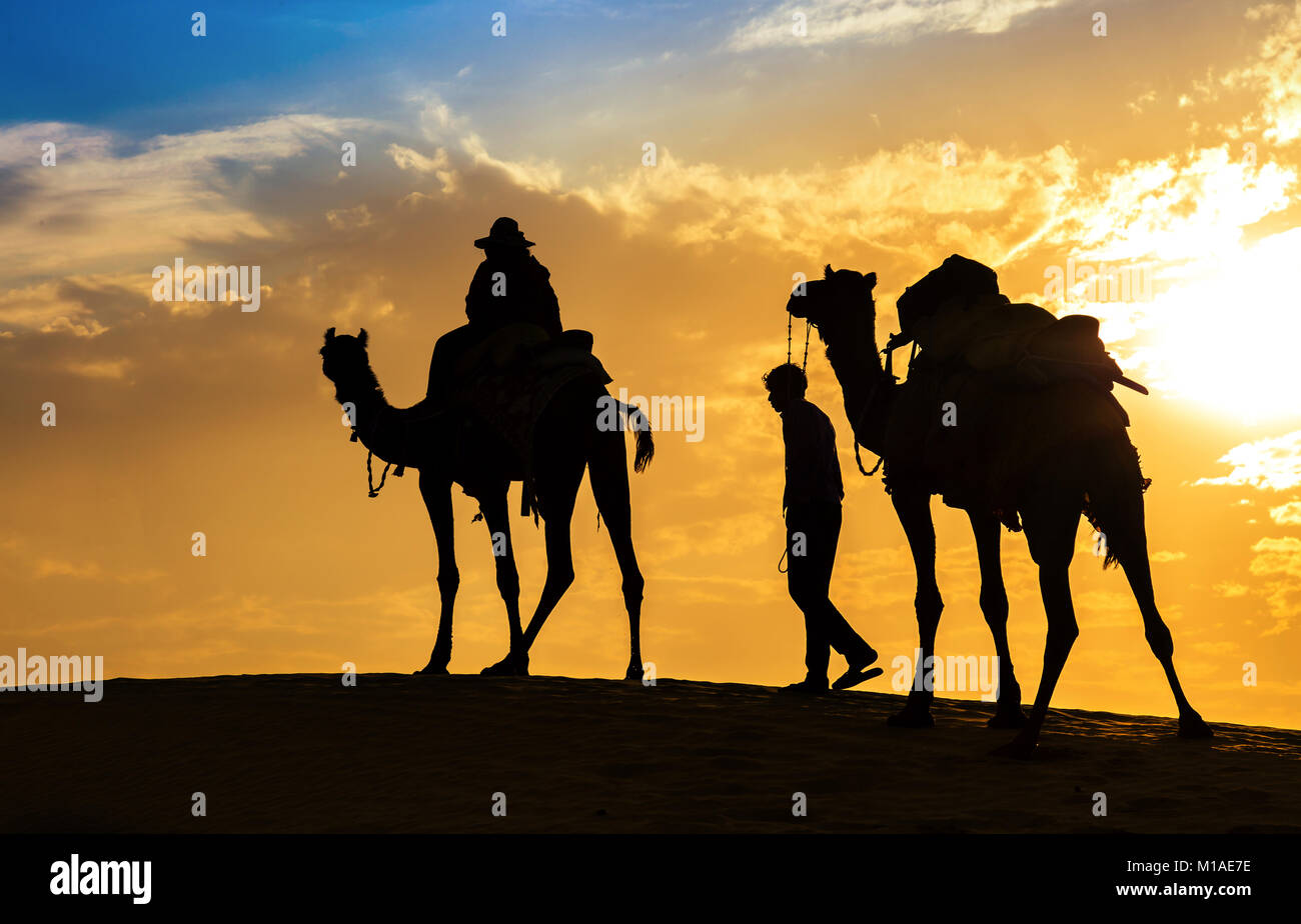 Tourist sui cammelli in silhouette al deserto di Thar Jaisalmer, Rajasthan. Foto Stock