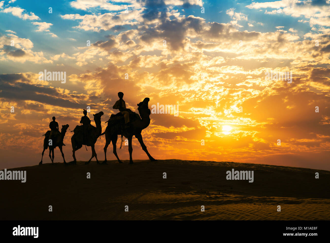 Camel caravan in silhouette al deserto di Thar Jaisalmer, Rajasthan al tramonto con moody sky Foto Stock