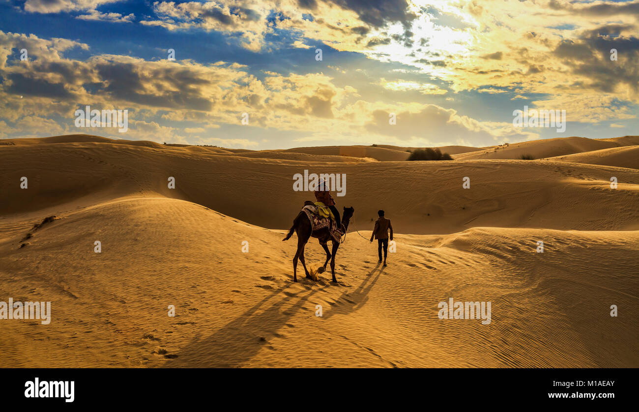 Corsa in cammello sulle dune di sabbia del deserto di Thar Jaisalmer, Rajasthan con moody sky Foto Stock