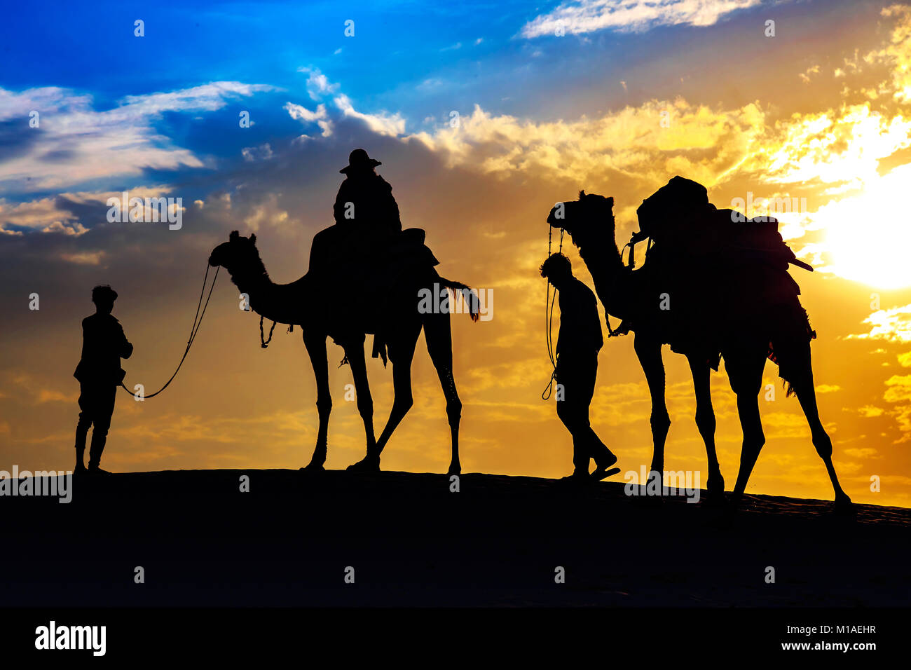 I cammelli con tourist in silhouette effetto al deserto di Thar Jaisalmer Rajasthan al tramonto. Foto Stock