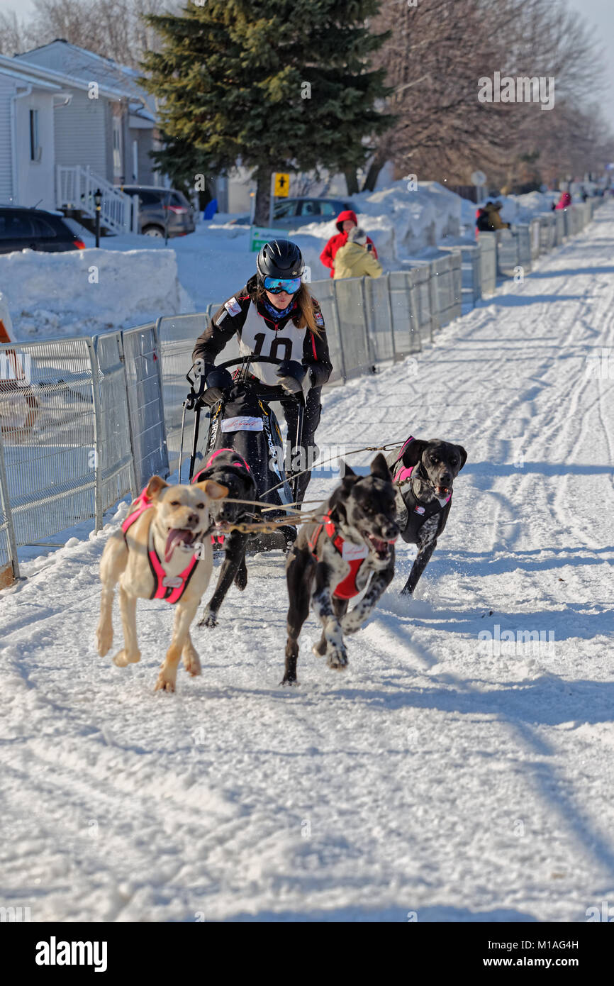L'Epiphanie, Canada 1/28/2018 . Internazionale di corsa di cani da slitta di Lanaudiere, Foto Stock