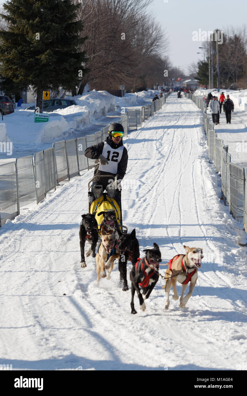 L'Epiphanie, Canada 1/28/2018 . Internazionale di corsa di cani da slitta di Lanaudiere, Foto Stock