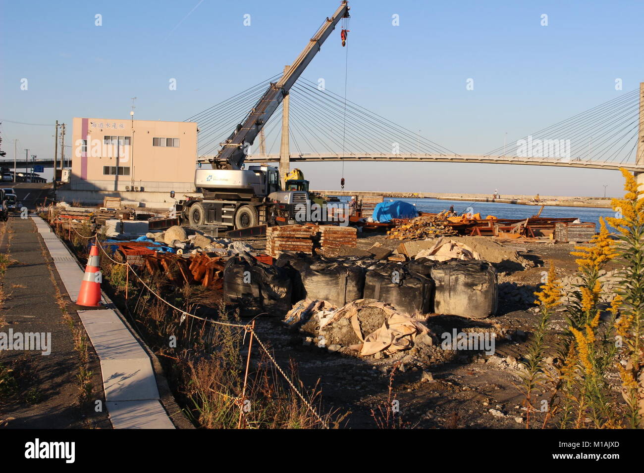 (4 novembre 2015 , Soma, Fukushima, Giappone) Tsunami area danneggiata e la spiaggia in costruzione nella zona Matsukawaura, Soma, Fukushima, Giappone. Grazie alla protezione contro possibili Tsunami, Soma city è stato la costruzione di pareti in spiaggia. Prima del disastro questa zona di fronte alla spiaggia è stato quartiere residenziale tuttavia tsunami distrutto le case e i residenti locali a sinistra del loro habitat. La spiaggia è stata chiusa per il nuoto a causa del processo di decontaminazione e la ricostruzione della zona danneggiata. Foto Stock