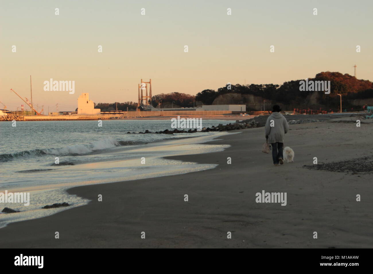 (4 novembre 2015 , Soma, Fukushima, Giappone) cittadino locale facendo una passeggiata con pet a Matsukawaura beach, Soma,città del Giappone. La spiaggia è stata chiusa per il nuoto a causa di sotto costruzione e processo di decontaminazione per 6 anni a partire dal 2011-tsunami terremoto e le sue conseguenze. Tuttavia la popolazione locale è ancora in grado di godere di ci per camminare o prendere un periodo di riposo. Soma city è la pianificazione per completare il processo di ricostruzione e la decontaminazione per riaprire la spiaggia per i turisti a partire dal 2018 in poi. Foto Stock