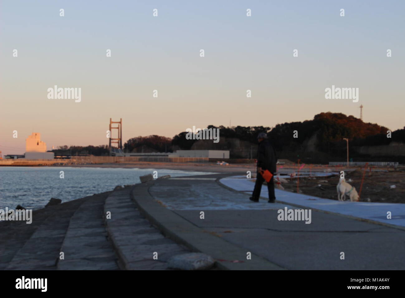 (4 novembre 2015 , Soma, Fukushima, Giappone) cittadino locale facendo una passeggiata con pet a Matsukawaura beach, Soma,città del Giappone. La spiaggia è stata chiusa per il nuoto a causa di sotto costruzione e processo di decontaminazione per 6 anni a partire dal 2011-tsunami terremoto e le sue conseguenze. Tuttavia la popolazione locale è ancora in grado di godere di ci per camminare o prendere un periodo di riposo. Soma city è la pianificazione per completare il processo di ricostruzione e la decontaminazione per riaprire la spiaggia per i turisti a partire dal 2018 in poi. Foto Stock