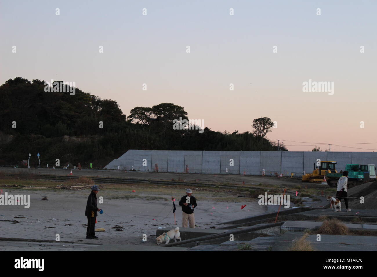 (4 novembre 2015 , Soma, Fukushima, Giappone) cittadino locale facendo una passeggiata con pet a Matsukawaura beach, Soma,città del Giappone. La spiaggia è stata chiusa per il nuoto a causa di sotto costruzione e processo di decontaminazione per 6 anni a partire dal 2011-tsunami terremoto e le sue conseguenze. Tuttavia la popolazione locale è ancora in grado di godere di ci per camminare o prendere un periodo di riposo. La spiaggia è ancora funzionante come un luogo di comunicazione. Soma city è la pianificazione per completare il processo di ricostruzione e la decontaminazione per riaprire la spiaggia per i turisti a partire dal 2018 in poi. Foto Stock
