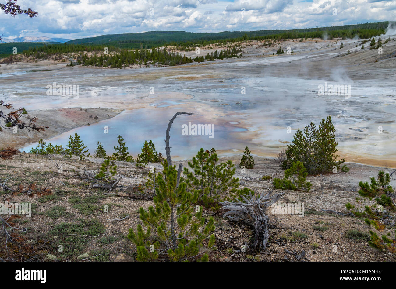 Vapore e acqua calda che fluisce dalle molle di porcellana in Norris Geyser Basin. Parco Nazionale di Yellowstone, Wyoming USA Foto Stock