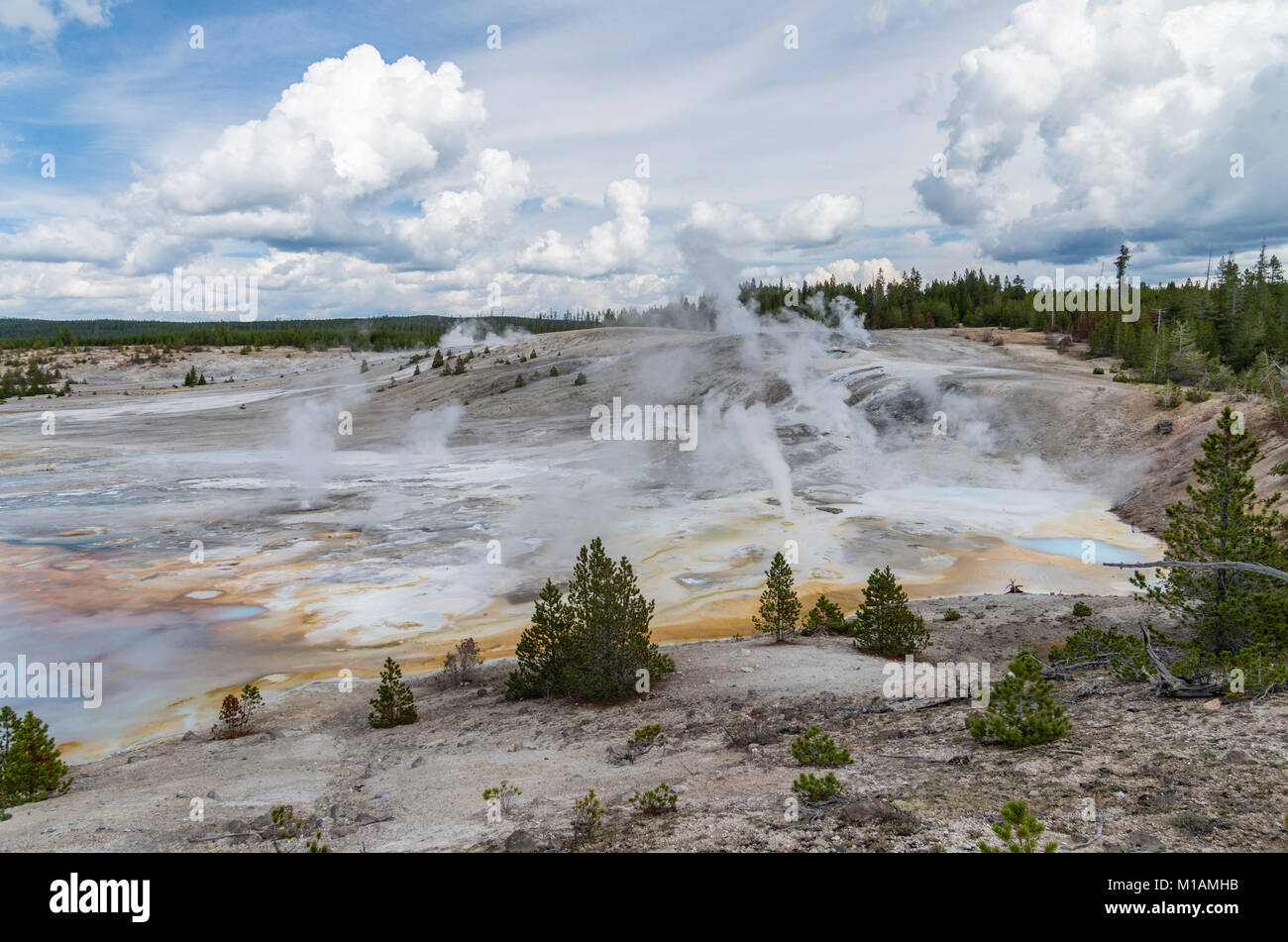 Vapore e acqua calda che fluisce dalle molle di porcellana in Norris Geyser Basin. Parco Nazionale di Yellowstone, Wyoming USA Foto Stock