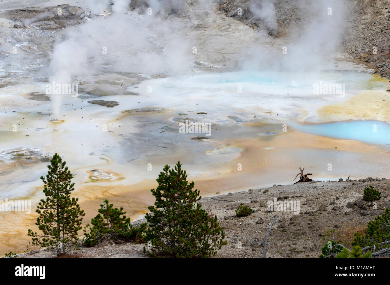 Vapore e acqua calda che fluisce dalle molle di porcellana in Norris Geyser Basin. Parco Nazionale di Yellowstone, Wyoming USA Foto Stock