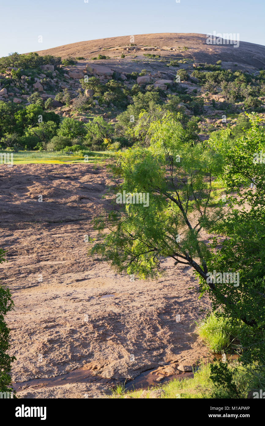 Texas Hill Country, incantata Rock Stato Area naturale, in granito rosa pluton batholith Foto Stock