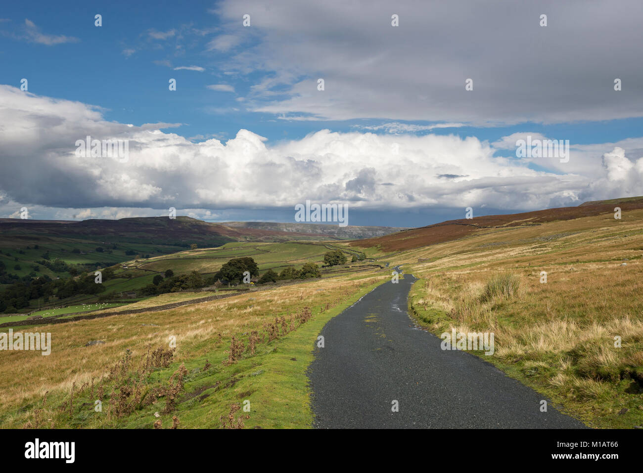 Strada remota oltre i mori sopra Swaledale nel North Yorkshire, Inghilterra. Foto Stock