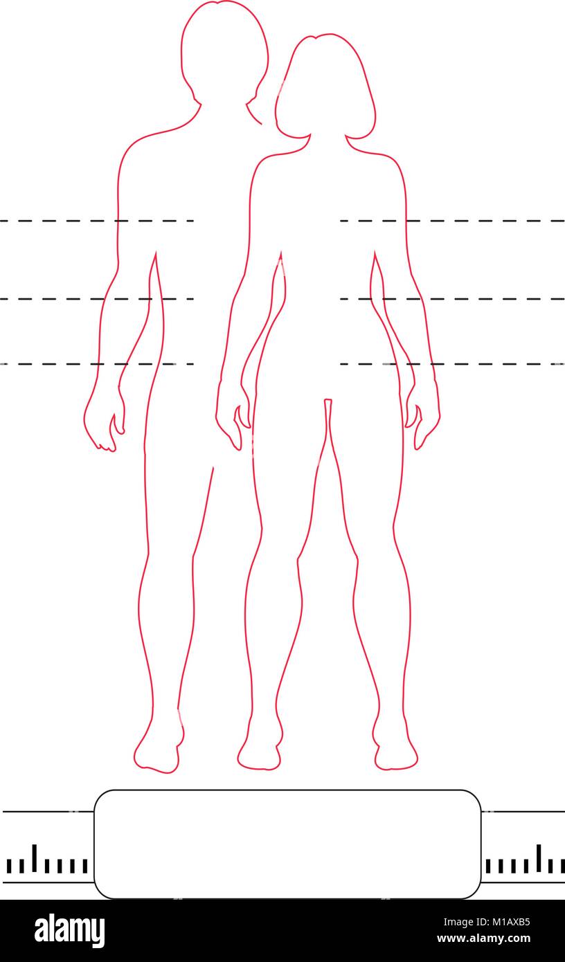 L uomo e la donna delineare i contorni con puntatori e scala. Vettore infografico isolato di contorno rosso corpi umani. Illustrazione Vettoriale