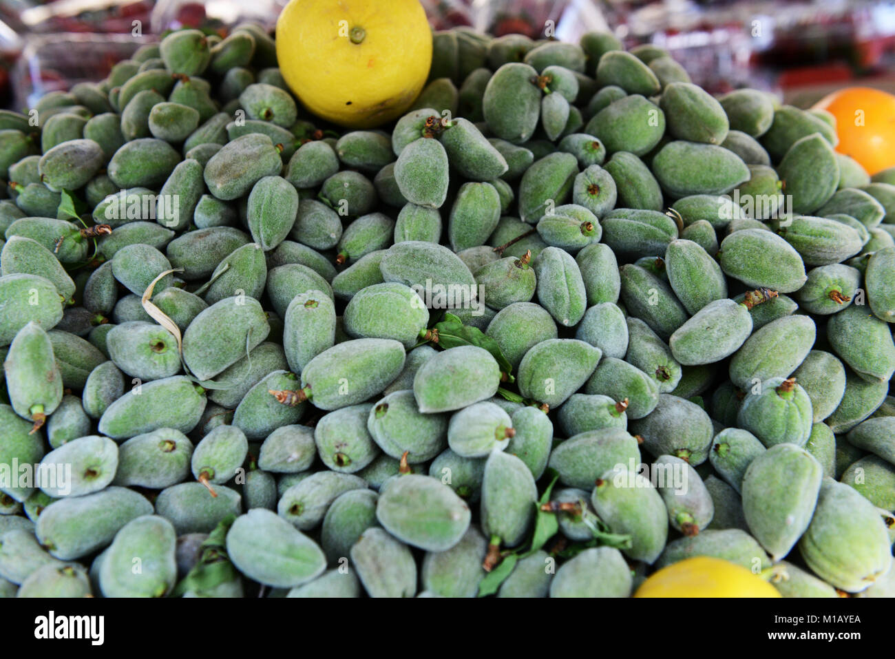 Fresco verde mandorla stallo in Giordania. Foto Stock