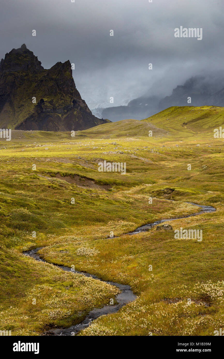 Il fiume porta ad una valle tra i ghiacciai del sud est dell'Islanda Foto Stock