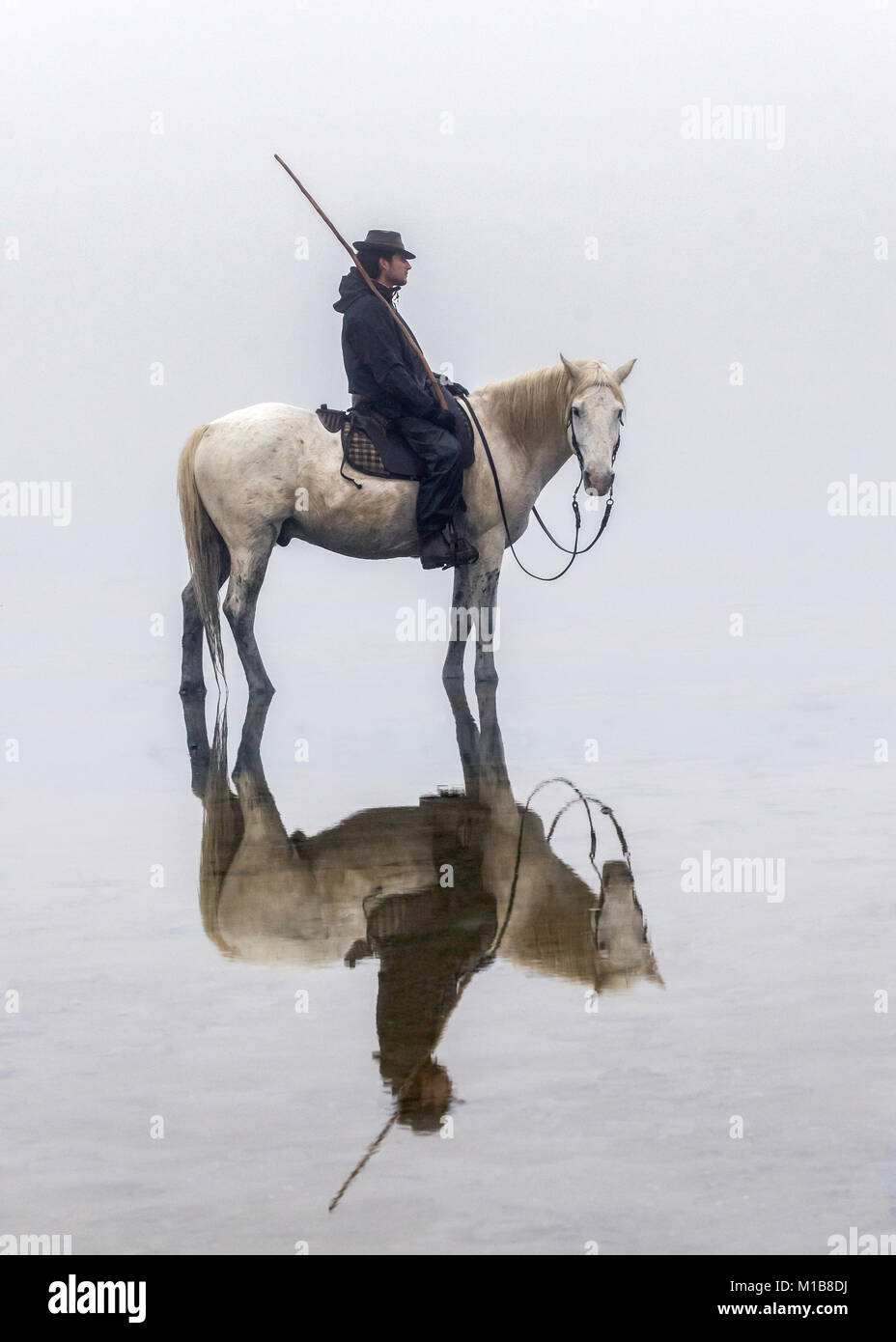 Cavalli Camargue (Equus caballus), e custode in piedi in acqua vicino Saintes-Marie-de-la-Mer, Camargue, Francia, Europa Foto Stock