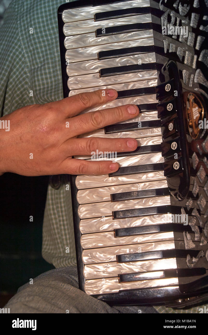 Man mano sulla madre perla tastiera di una fisarmonica a piano Foto stock -  Alamy