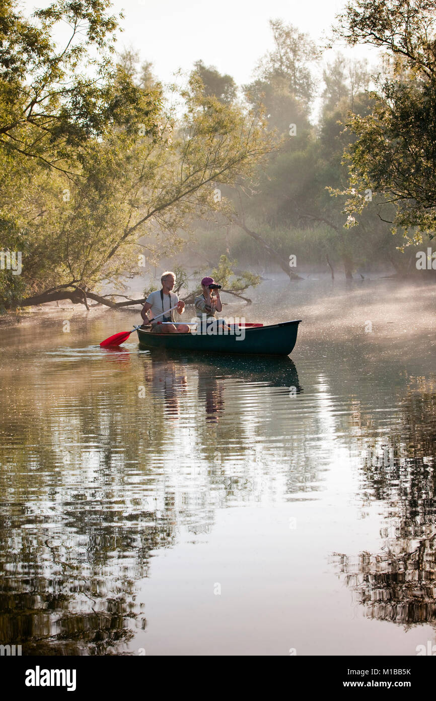 I Paesi Bassi, Werkendam, Biesbosch National Park. Persone in kayak per godersi la natura a sunrise. Foto Stock