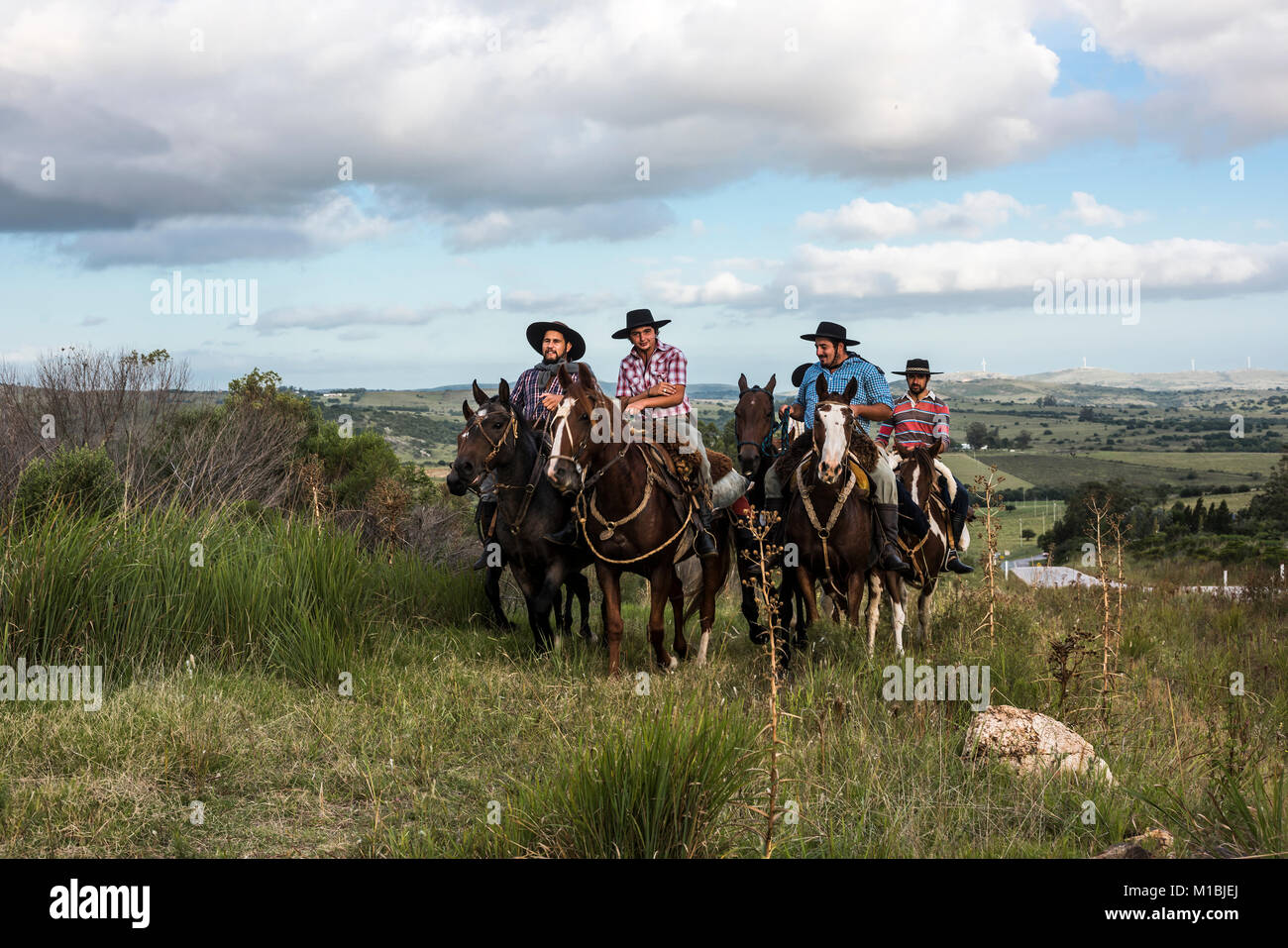 Minas, Uruguay: Marth 30, 2017 - gauchos guidare da un pascolo del bestiame ad un altro, lungo la strada che porta a Minas, Dipartimento di Maldonado Foto Stock
