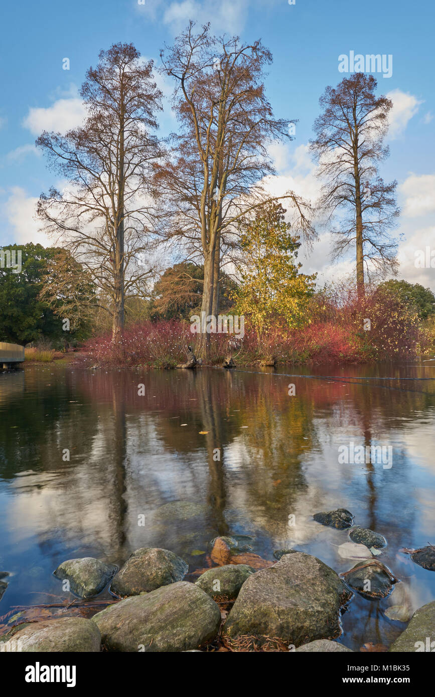 I giardini di Kew lago Foto Stock