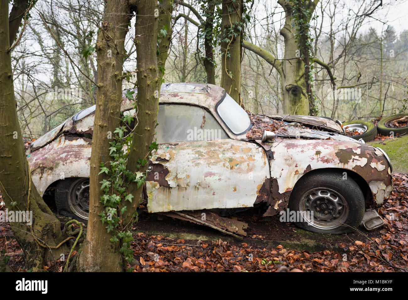 Storico Porsche auto sportiva arrugginimento e decadendo in una foresta Foto Stock