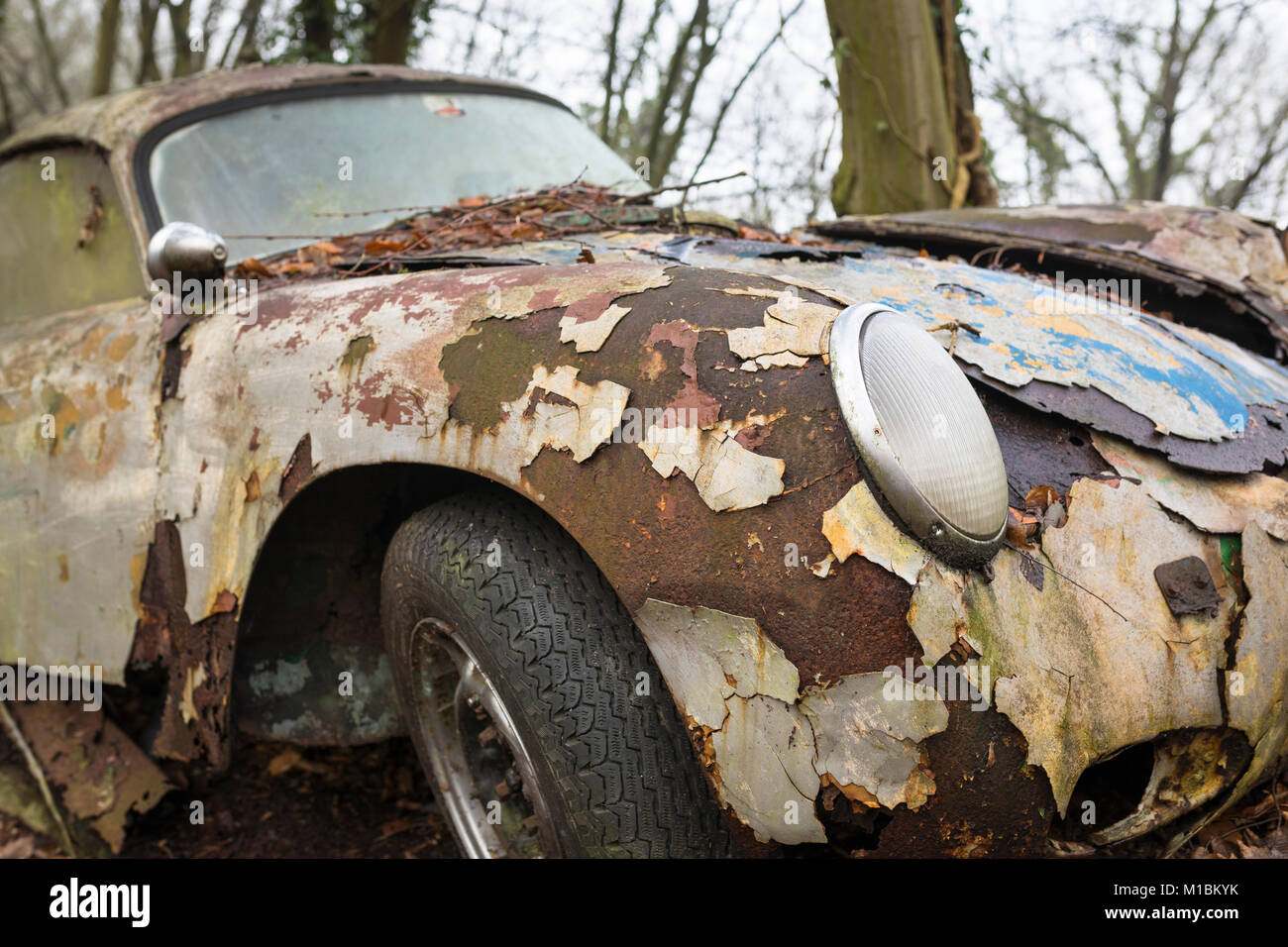 Storico Porsche auto sportiva arrugginimento e decadendo in una foresta Foto Stock