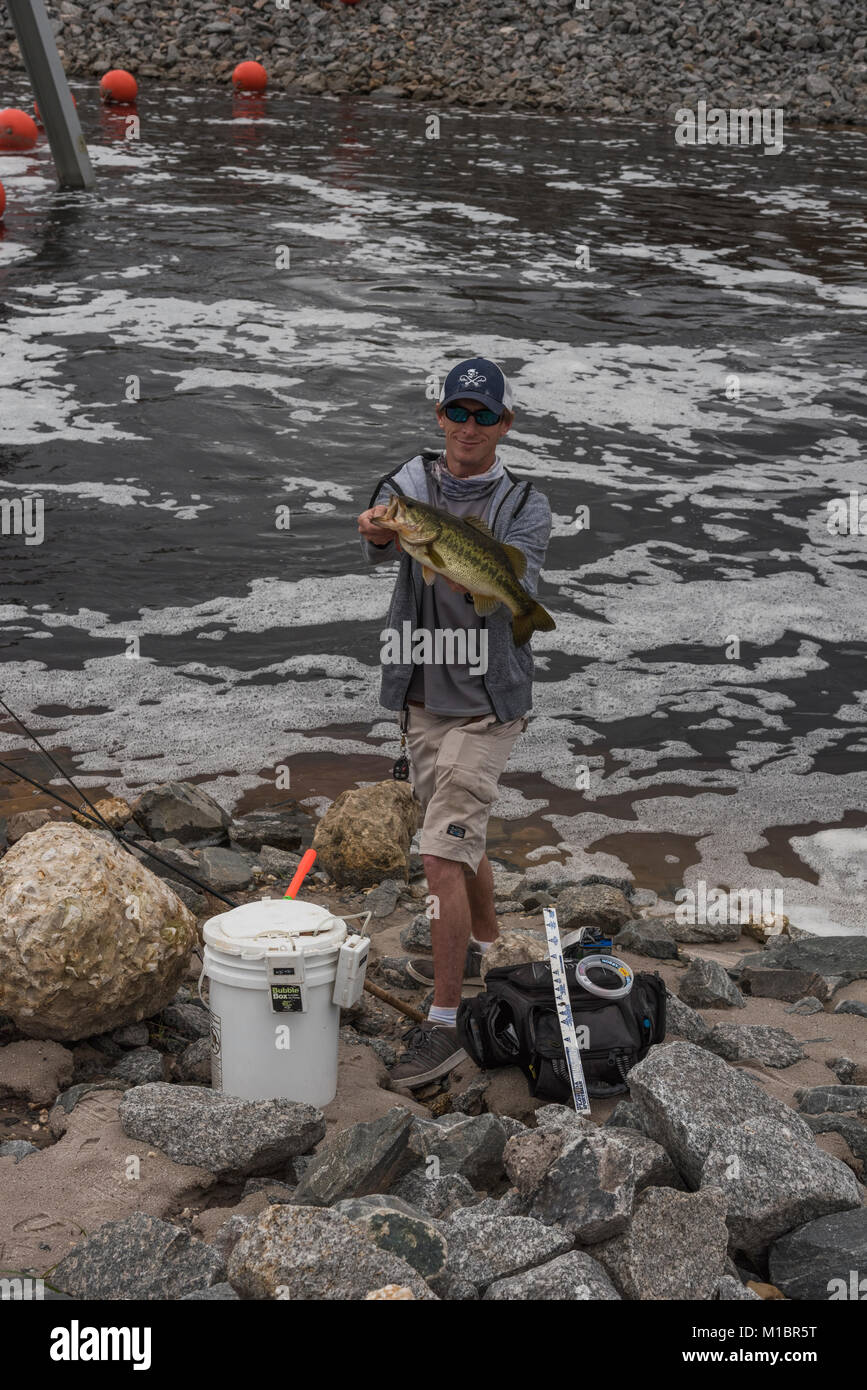 Moss bluff e di bloccaggio di diga in Marion County, Florida USA Foto Stock