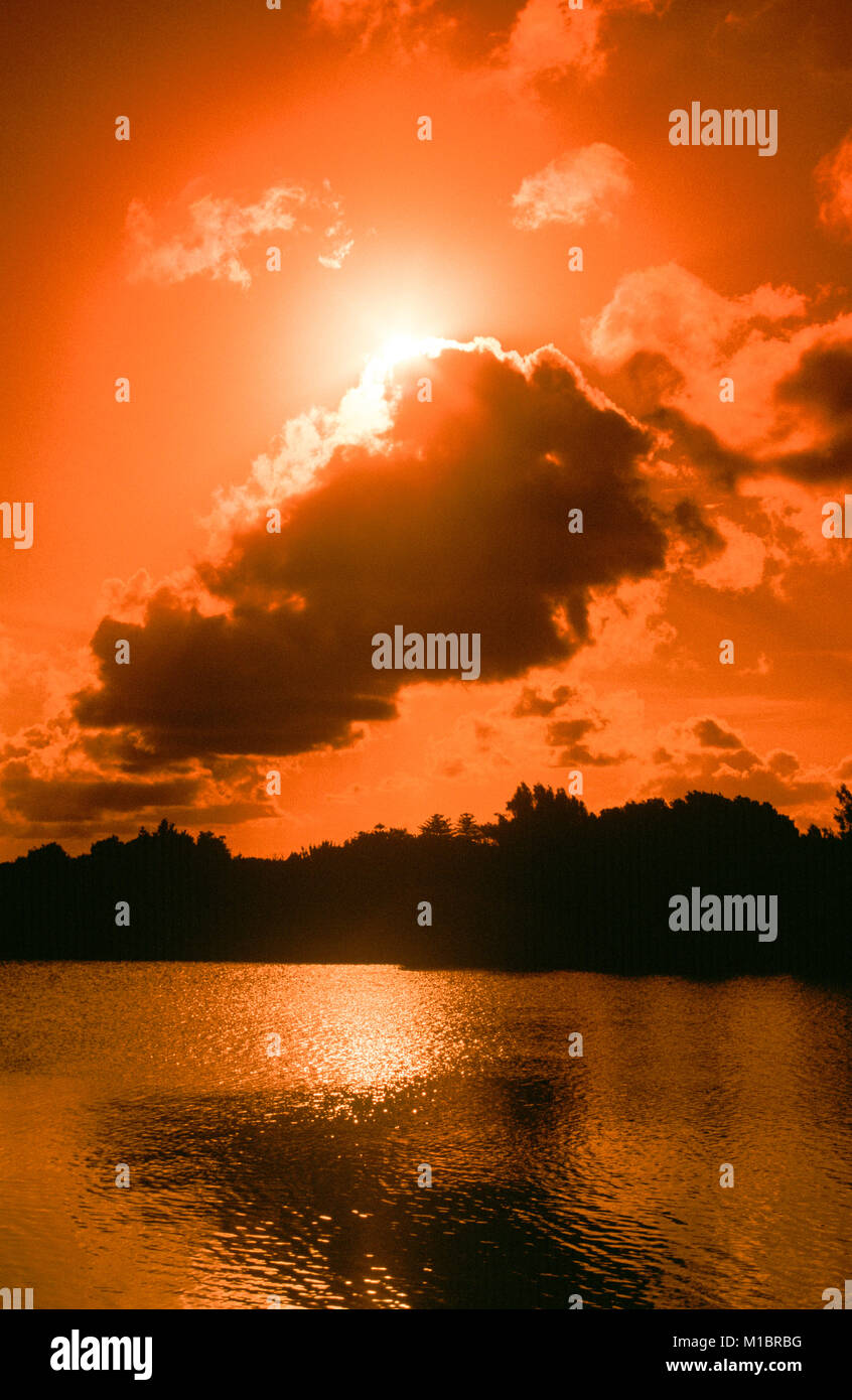 Tramonto su Busby stagno in Centennial Park a Sydney, in Australia. Foto Stock