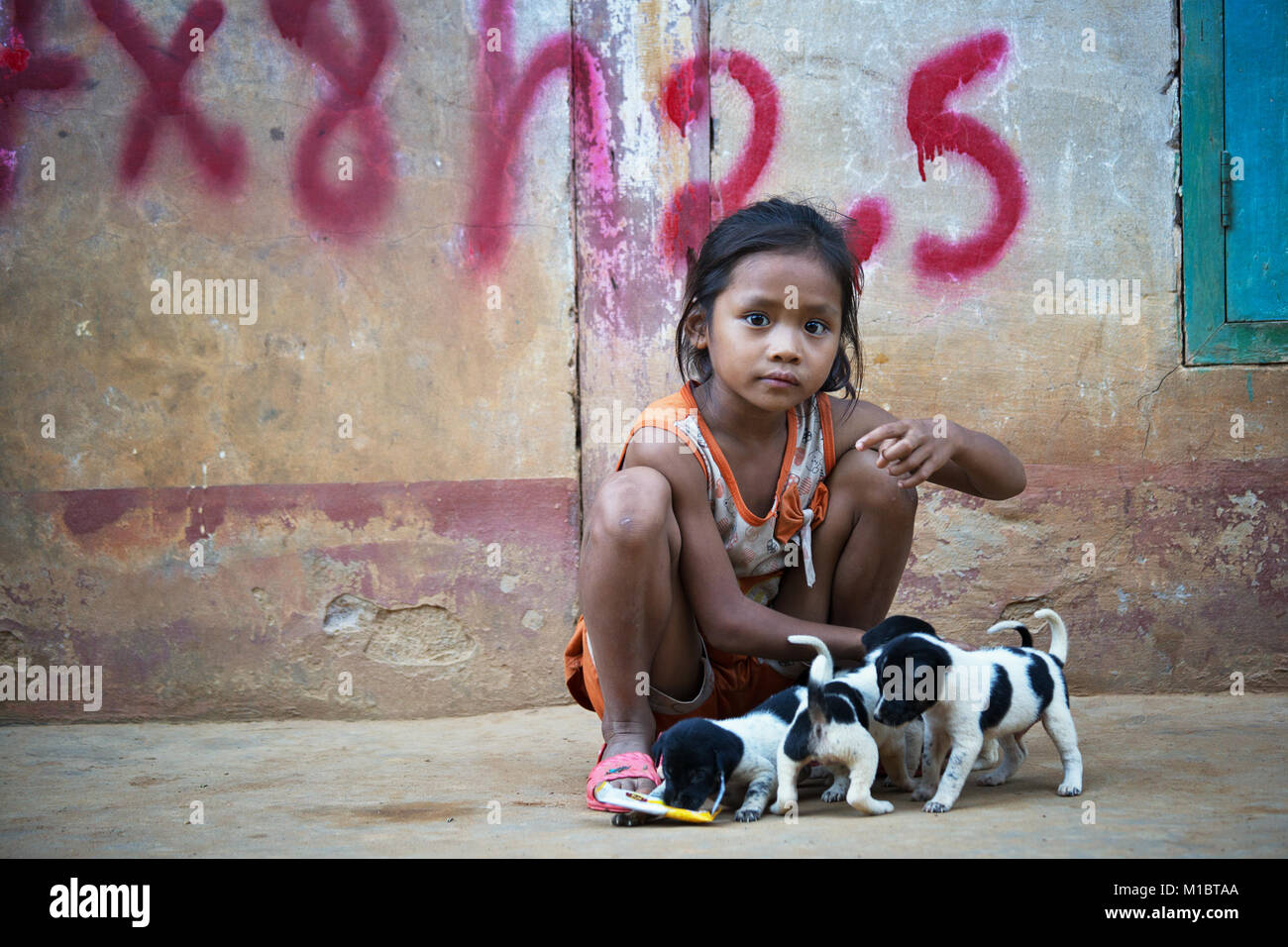 Giovane ragazza che gioca con i cani in un promuovere il villaggio a Nam Ou River, Nord del Laos, Asia Foto Stock