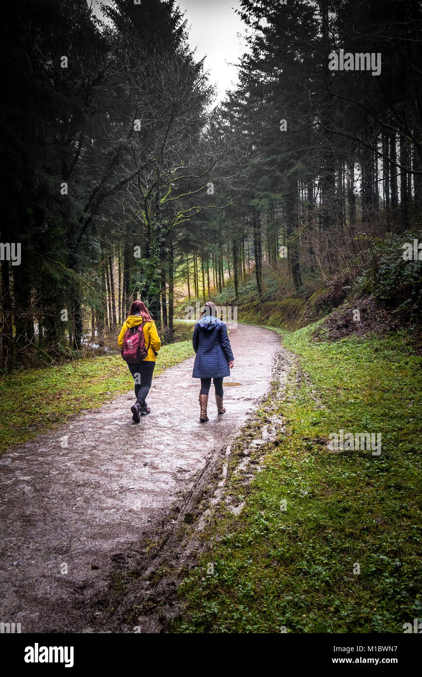 Cardinham boschi in Cornovaglia - due persone a piedi lungo una via in Cardinham boschi in Bodmin Cornwall. Foto Stock