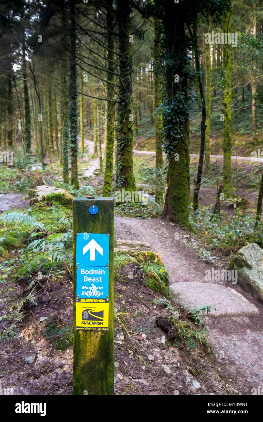 Cardinham boschi in Cornovaglia - un cartello in legno dando indicazioni per la Bestia di Bodmin mountain bike trail in Cardinham boschi in Bodmin Cornwall. Foto Stock