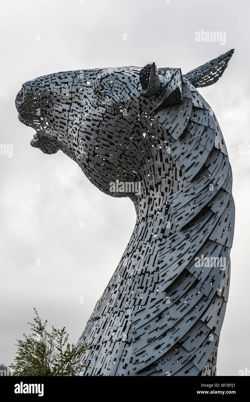 Le sculture Kelpies progettato da Andy Scott presso l'Helix Park, Falkirk, Scotland, Regno Unito Foto Stock