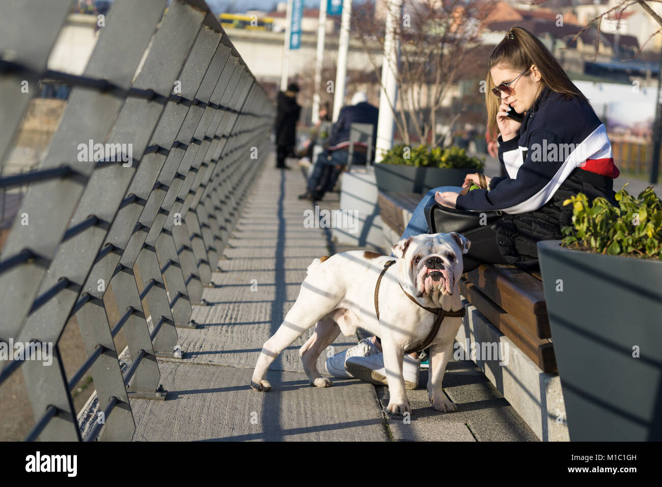 Una ragazza con la Bulldog inglese si siede sul lungomare di Belgrado. Foto Stock