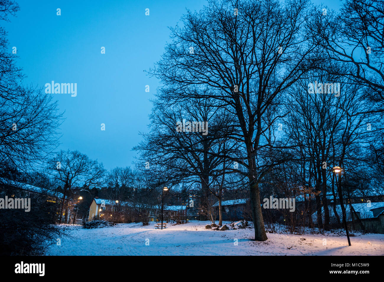 Giornata invernale in un parco a Stoccolma, Svezia, Gennaio 2018 Foto Stock