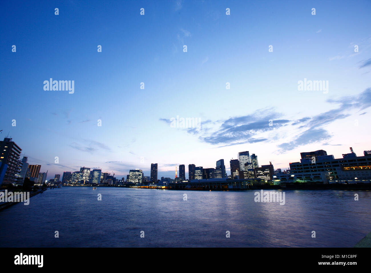 Tokyo cityscape, Tokyo, Giappone Foto Stock