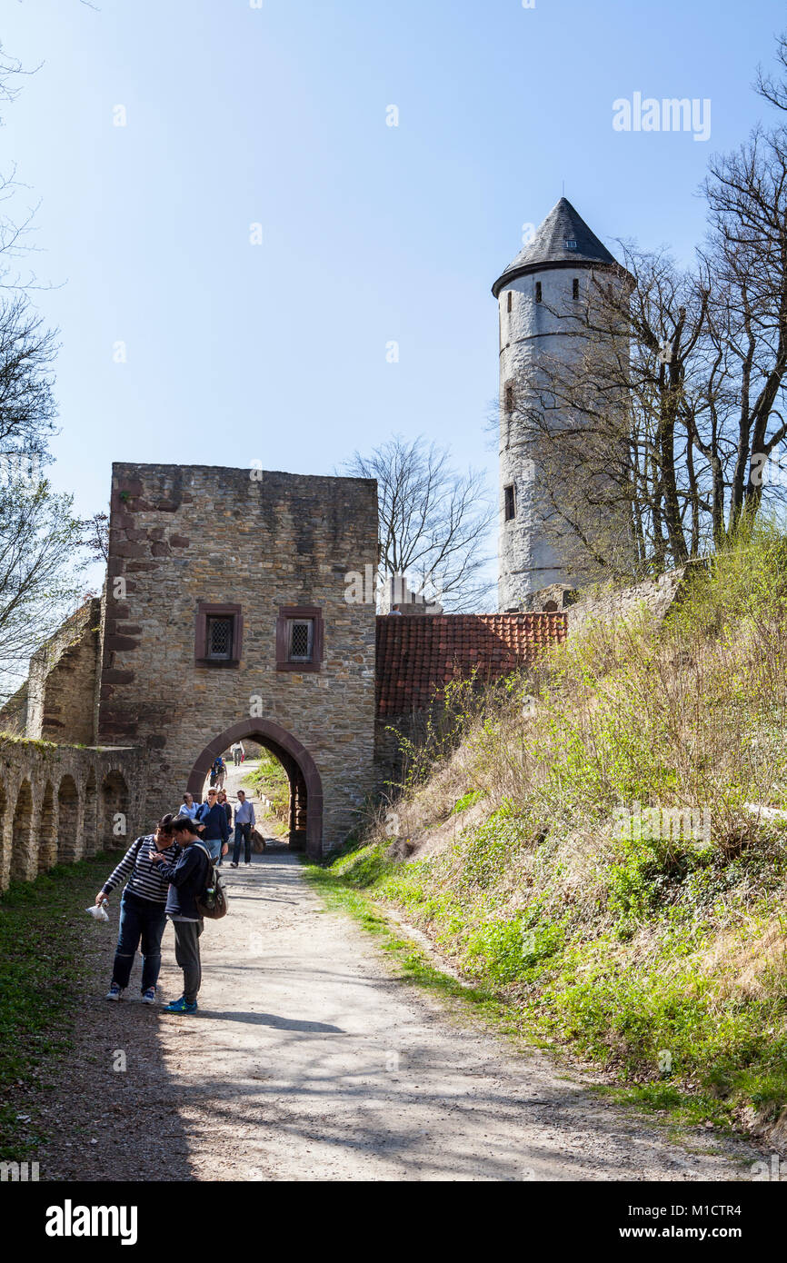 Castello plesse, Bassa Sassonia, Germania Foto Stock
