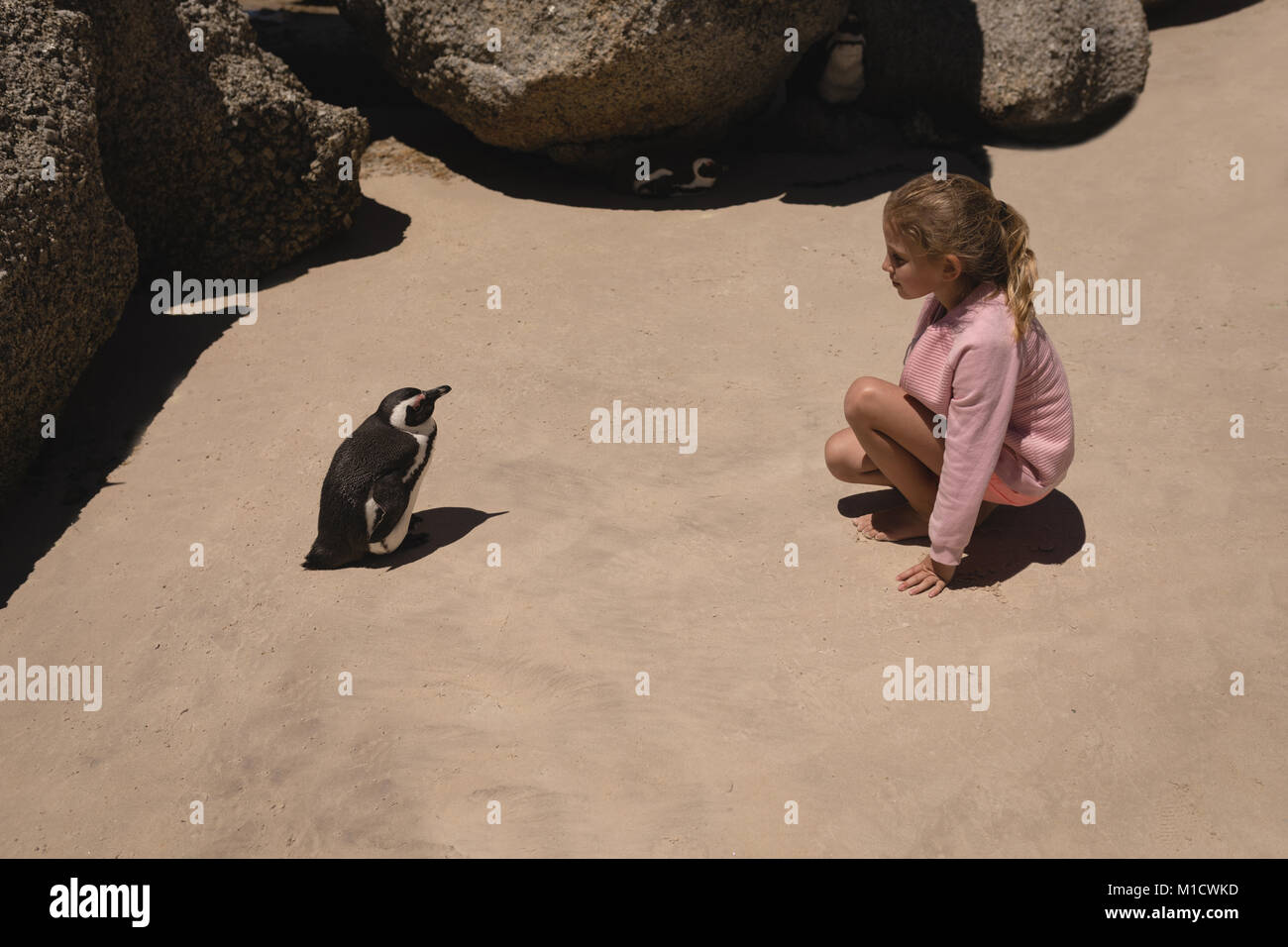 Ragazza guardando penguin Foto Stock