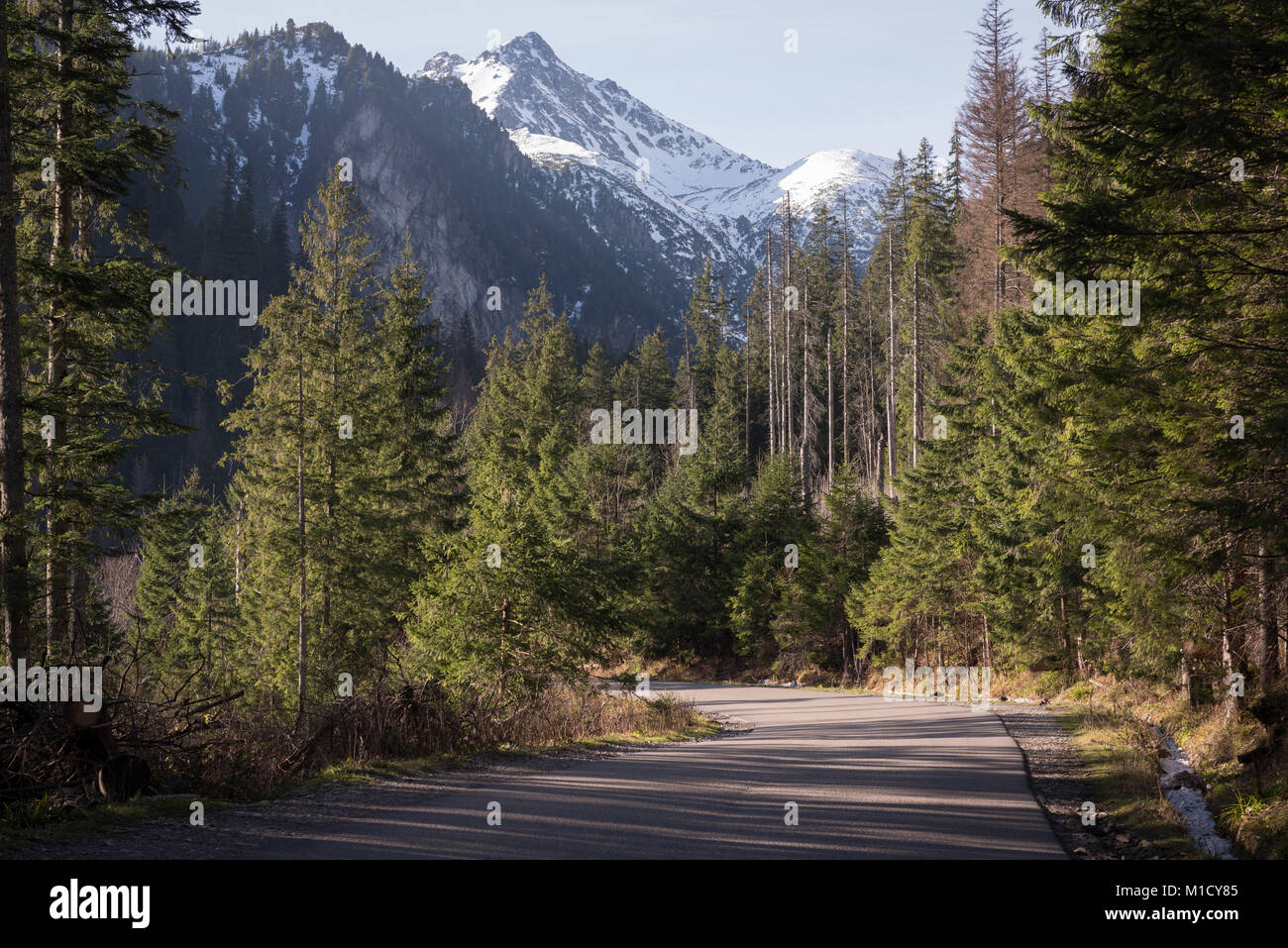 Road passando attraverso montagne innevate e gli alberi Foto Stock