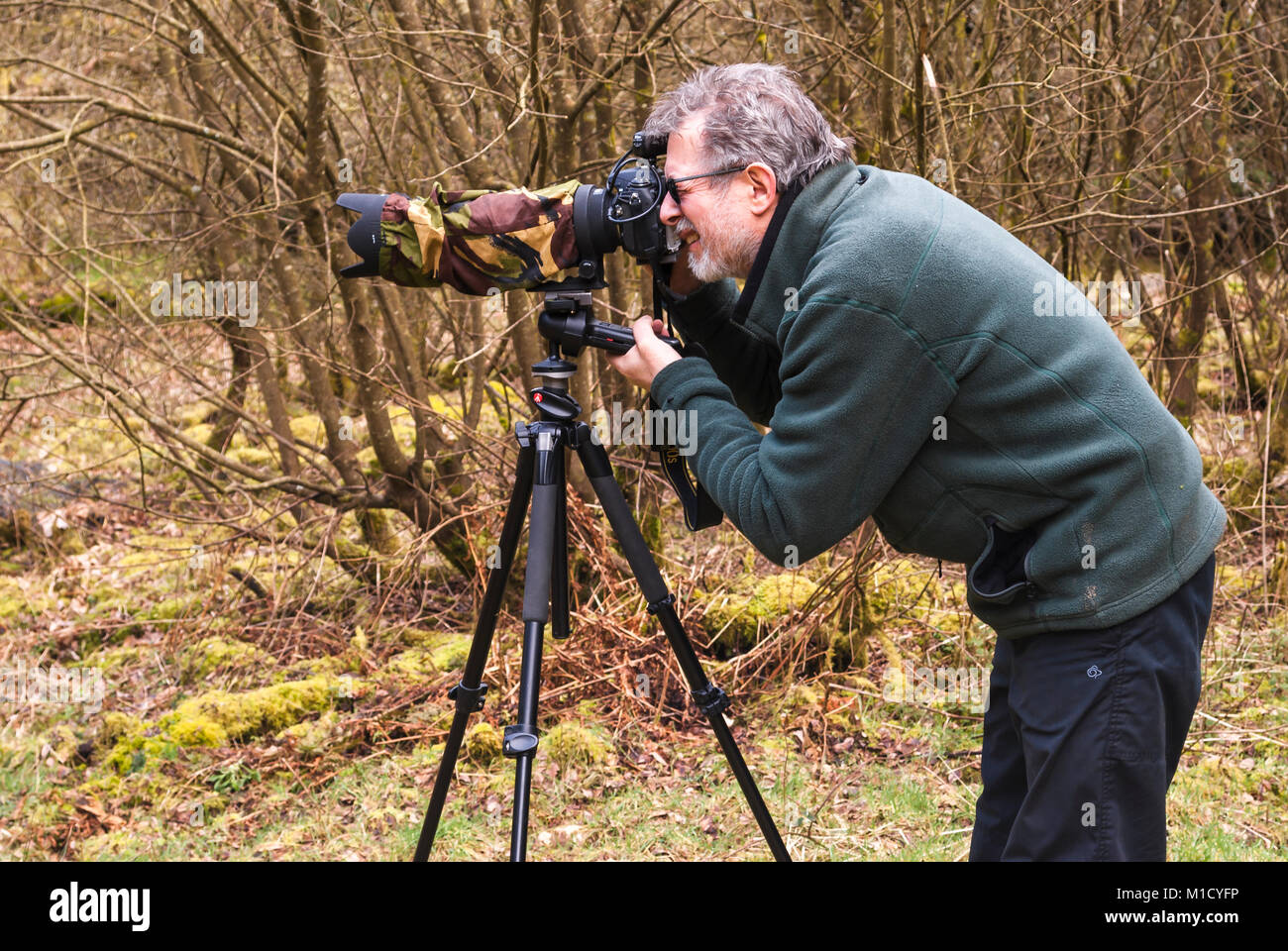 Fotografo naturalista in azione immagini e fotografie stock ad alta  risoluzione - Alamy
