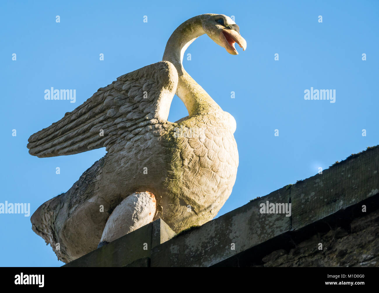 Statua di Swan sulla cima della parete alta, tenuta di Gosford, Lothian orientale, Scozia, Regno Unito Foto Stock