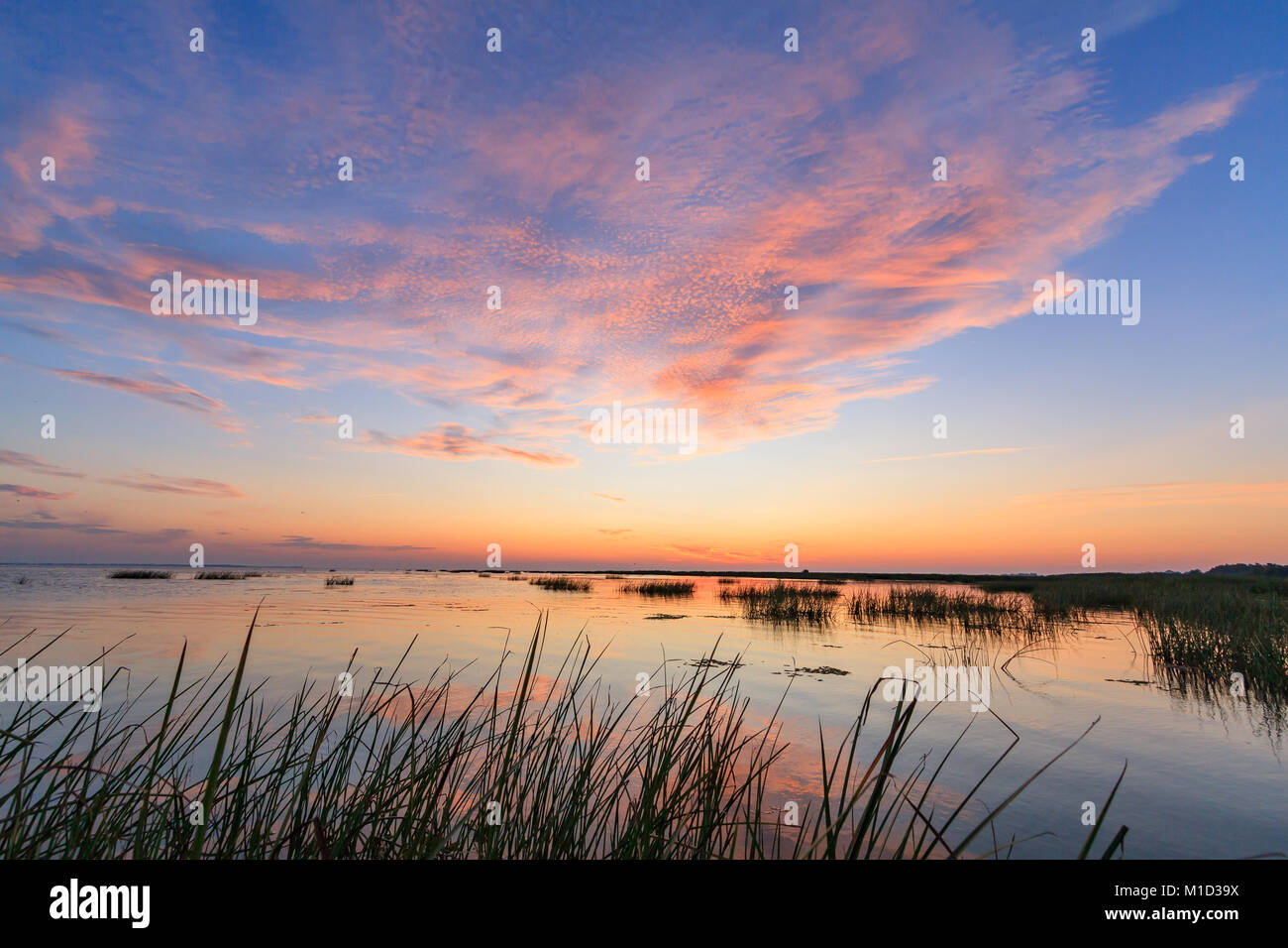 Tramonto alba sul delta del Danubio, dove incontra il Mar Nero in Romania, una riserva della biosfera dell'UNESCO e un ecosistema naturale unico. Foto Stock